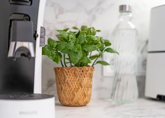 Strandhotel Oceanview Deluxe Scharbeutz